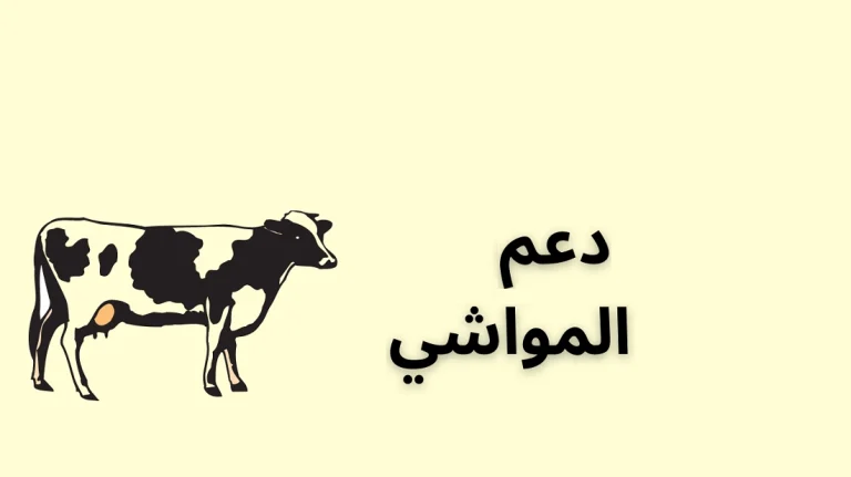 كيف احدث بياناتي في دعم المواشي