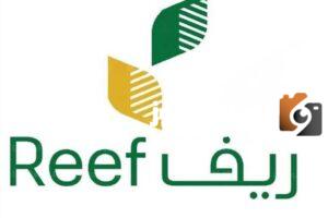 كيفية الاستعلام عن دعم ريف للأسر المنتجة