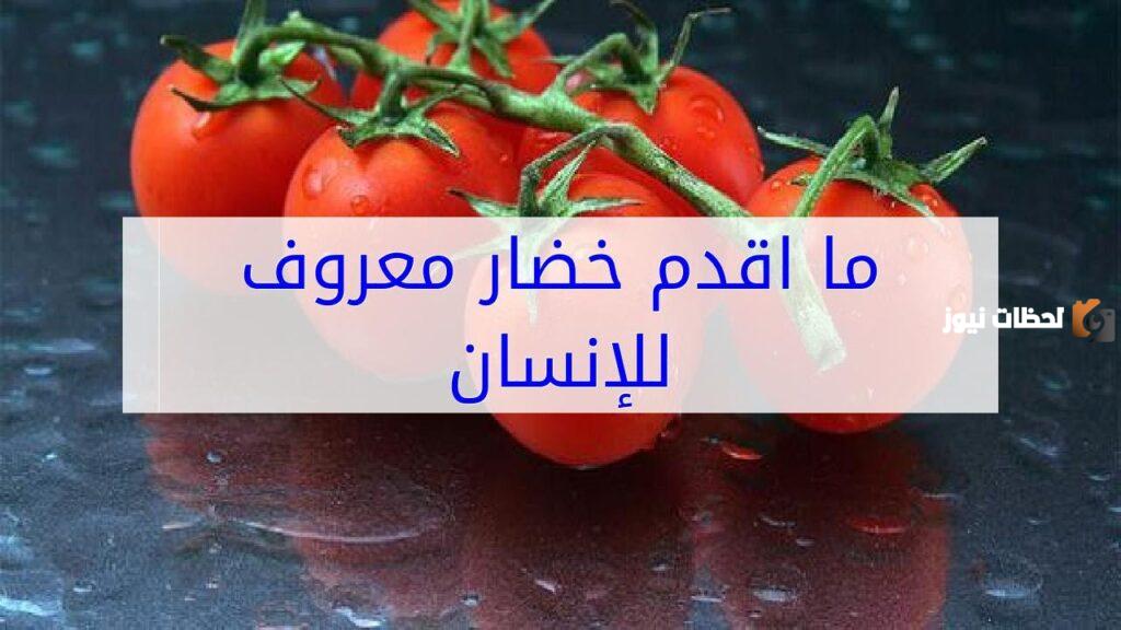ما اقدم خضار معروف للإنسان