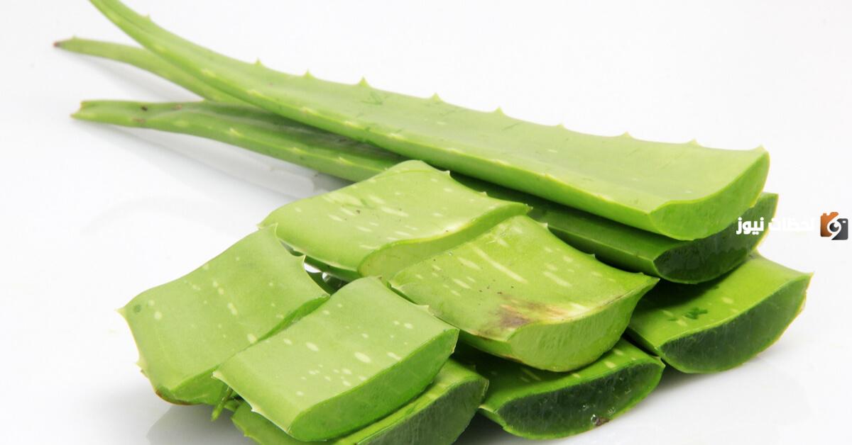 ما فوائد الصبار للجسم