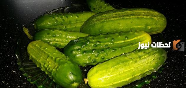 ما هو القثاء