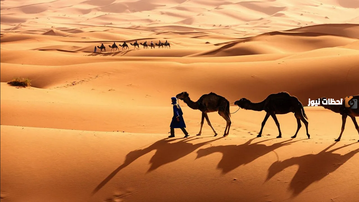 ما هو نسب قبيلة الجبري