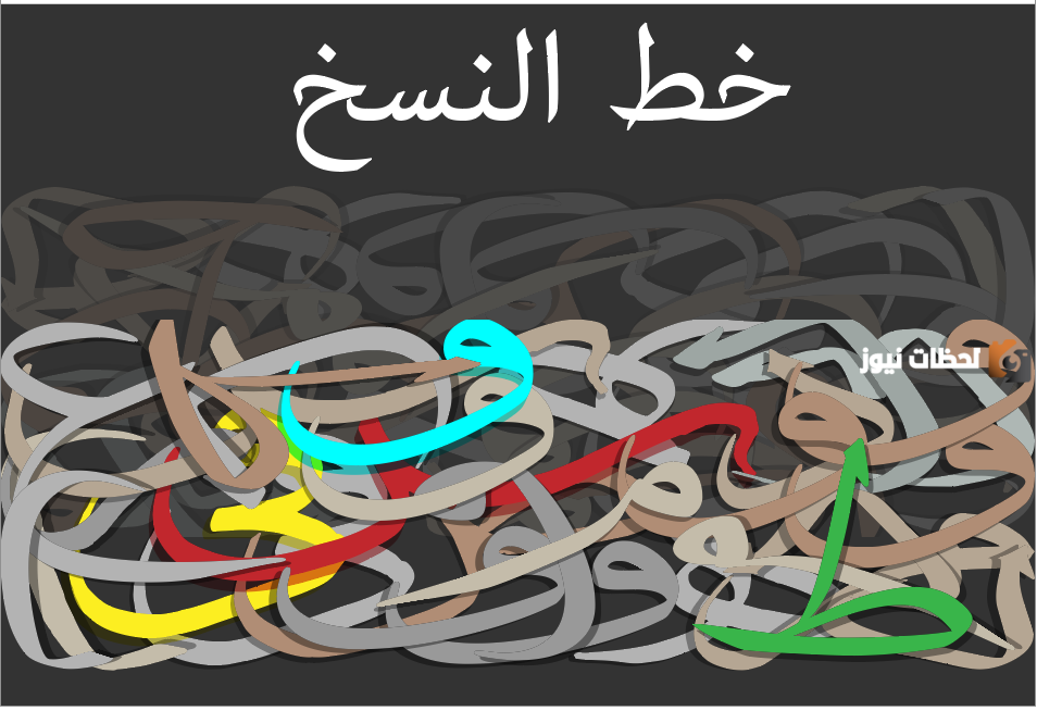 ما هي الحروف المستقره على السطر في خط النسخ