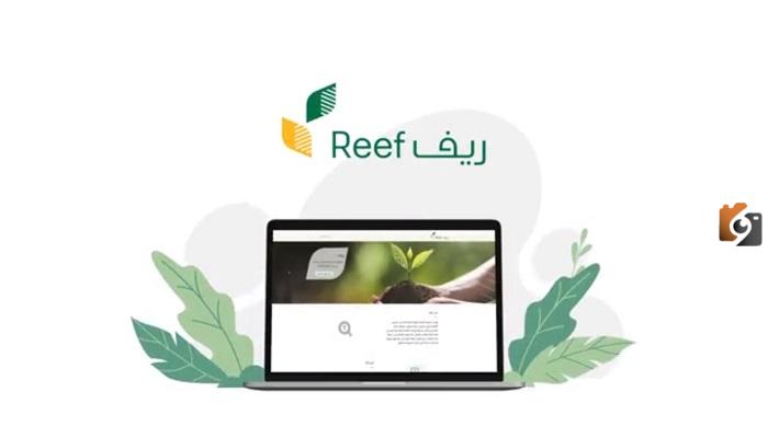 ما هي خطوات استعلام دعم ريف 1445 وشروط التسجيل في البرنامج؟” وزارة الزراعة” توضح