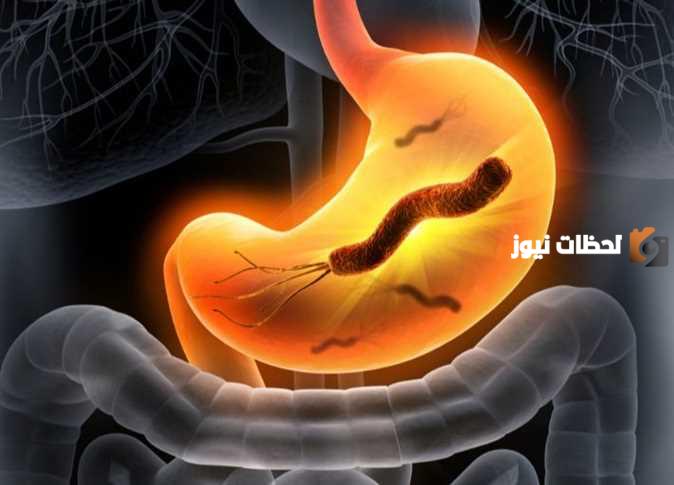 متى تموت جرثومة المعدة؟