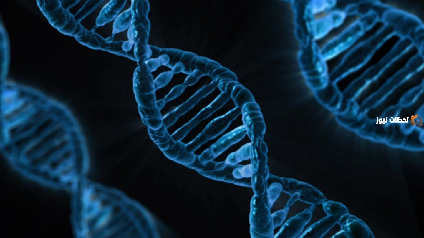 مقدمة بحث عن dna قوية وواضحة مقدمة بحث عن dna قوية وواضحة