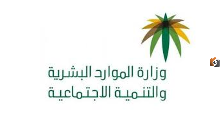 من اين احصل على ملف حماية الاجور