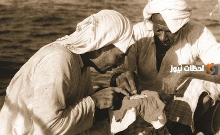 من هم الطواويش في الخليج