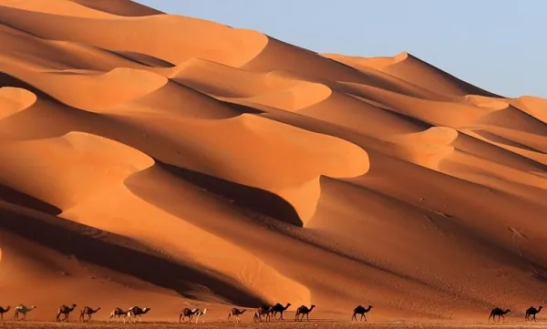 من هو اصل عائلة السلطان في السعودية شجرة عائلة السلطان