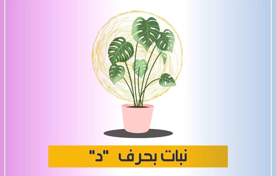 نبات بحرف د
