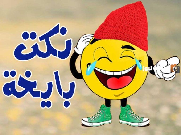 نكت في نمله سامجة جدا