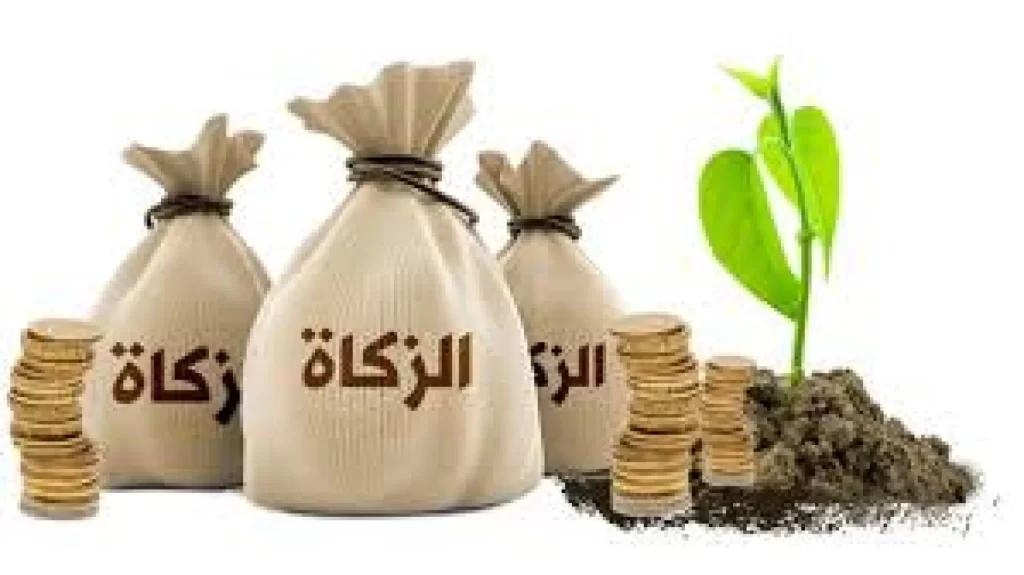هل تجوز الزكاة على الأخت