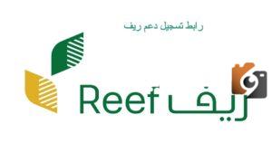 هل دعم الريف يؤثر علي الضمان الاجتماعي