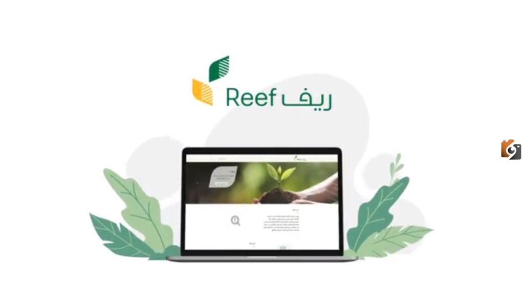 هل يؤثر الدعم الريفي على حساب المواطن