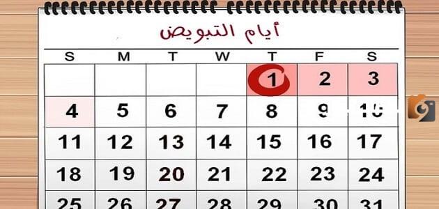 هل يزيد الوزن أيام التبويض