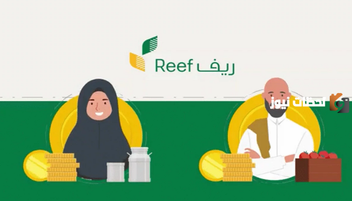 هل يمكن التقديم لدعم ريف دون مشروع؟ وكم رسوم العقوبة؟