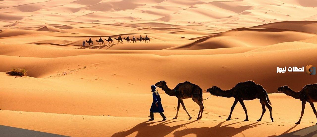 وش يرجع النفيعي