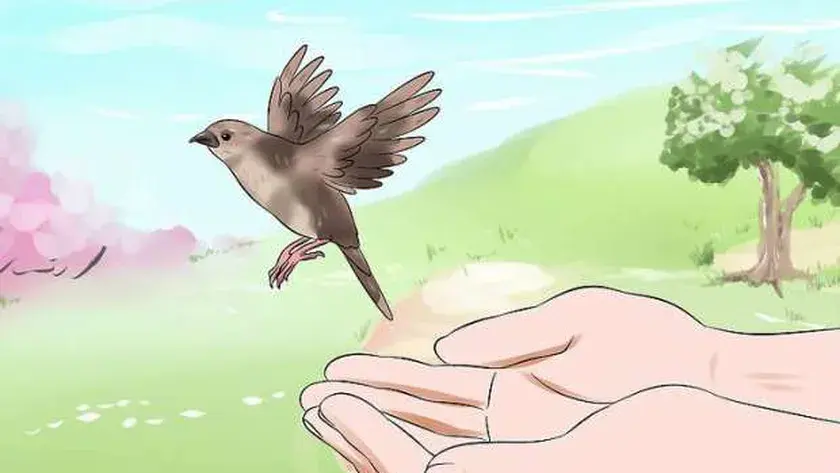 قصص عن الرحمة بين الناس