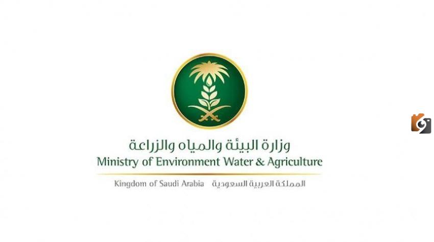 ما هي شروط التسجيل في دعم المواشي