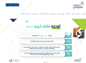 حساب المواطن