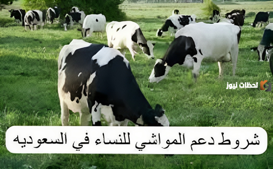 “وزارة البيئة والمياه والزراعة “توضح ما هي شروط دعم المواشي للنساء 1445؟
