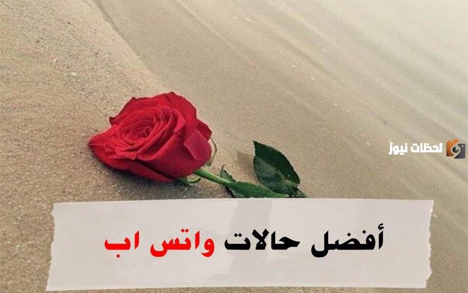 أجمل حالات واتس اب كتابة جديدة