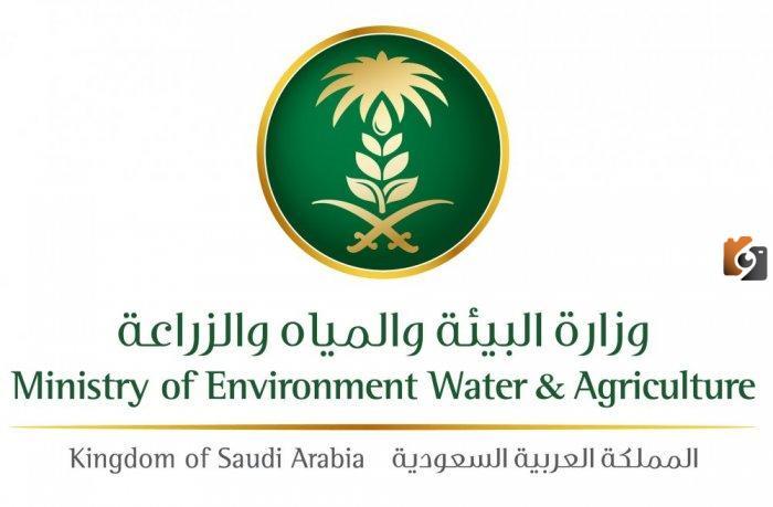 أون لاين في السعودية إليكم بالخطوات طريقة التسجيل في دعم ريف إلكترونيًا