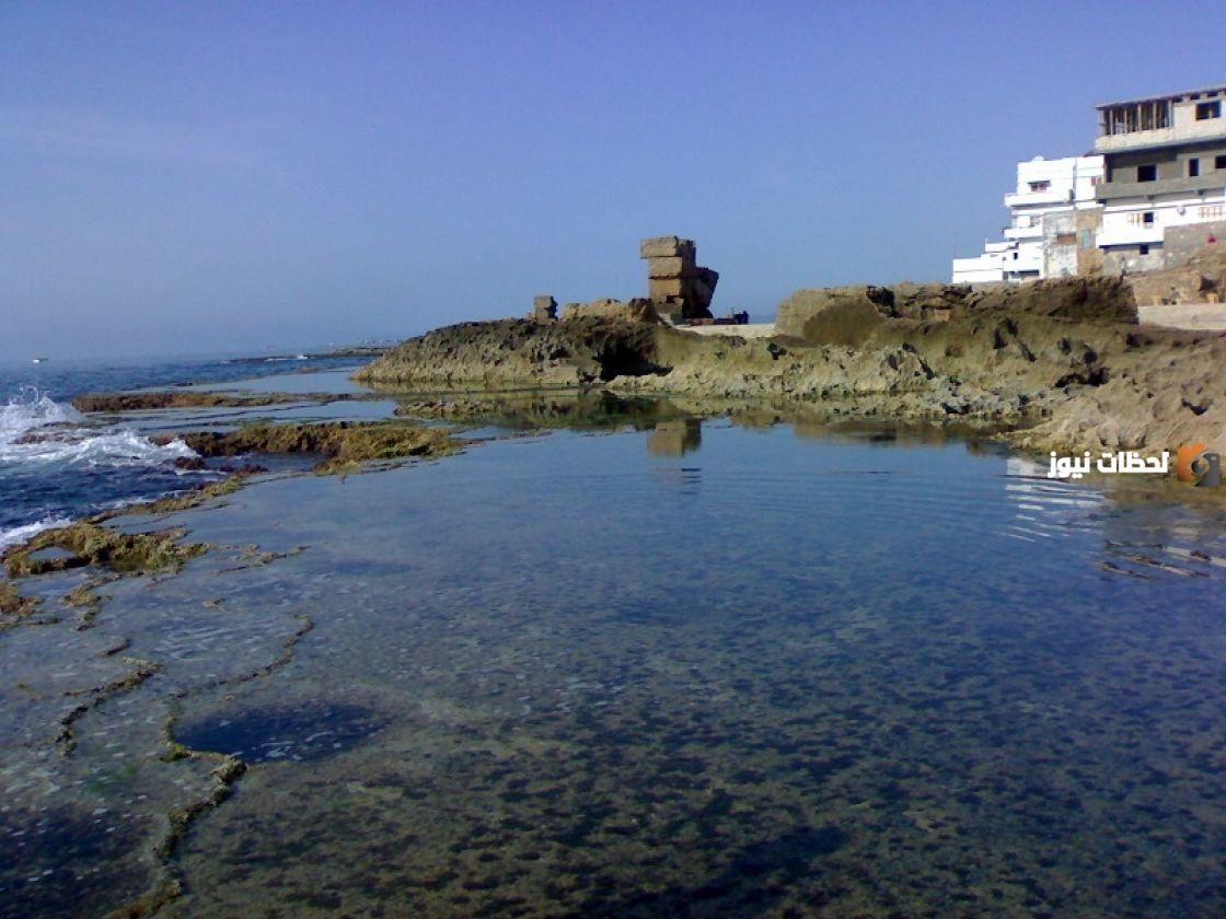 أين تقع جزيرة أرواد؟