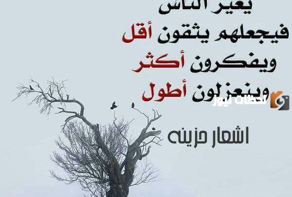 اجمل شعر عن الحب عراقي