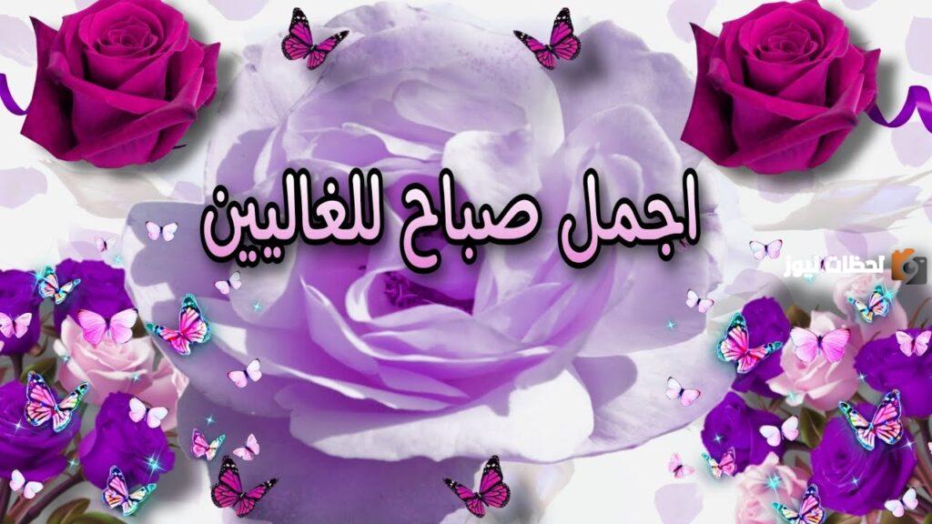 اجمل عبارات صباح الورد حبيبي