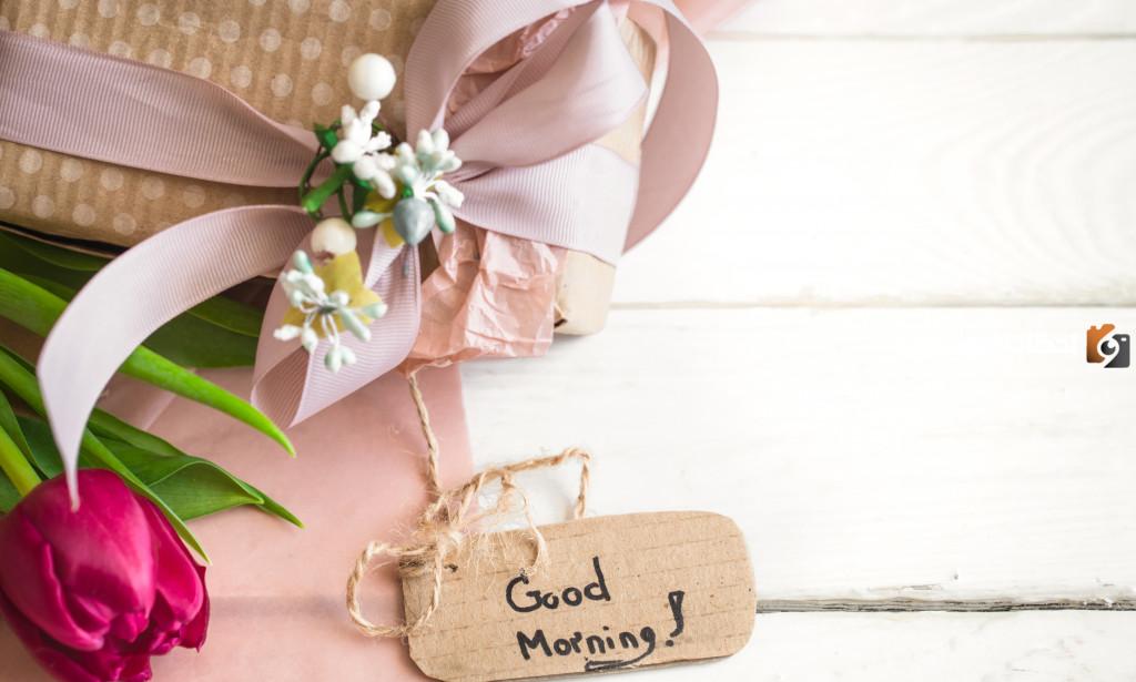 اجمل عبارات صباح الورد والياسمين