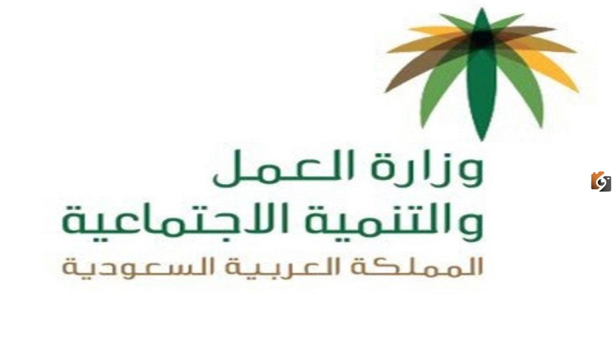 كيفية الاستعلام عن نطاق مؤسسة باستخدام رقم الحدود 1447.. الموارد البشرية السعودية تجيب