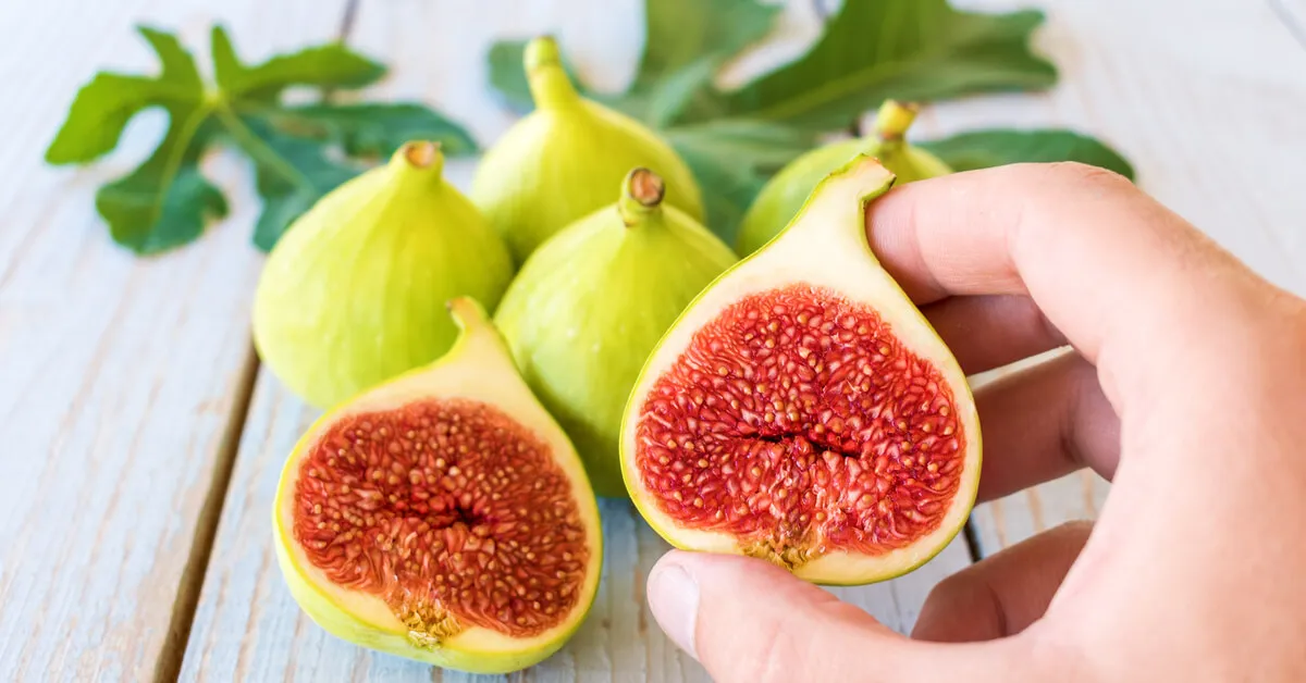 اسماء اكلة بحرف التاء