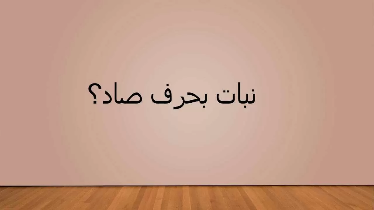 اسماء مدينة بحرف الصاد ص