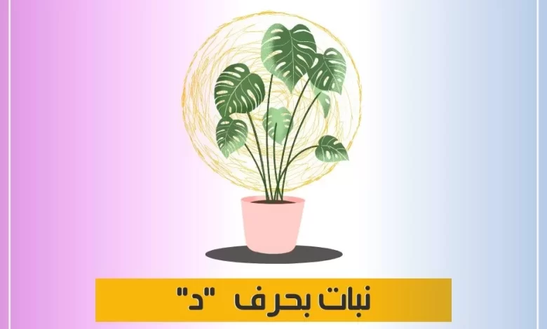 اسماء نبات بحرف الدال د