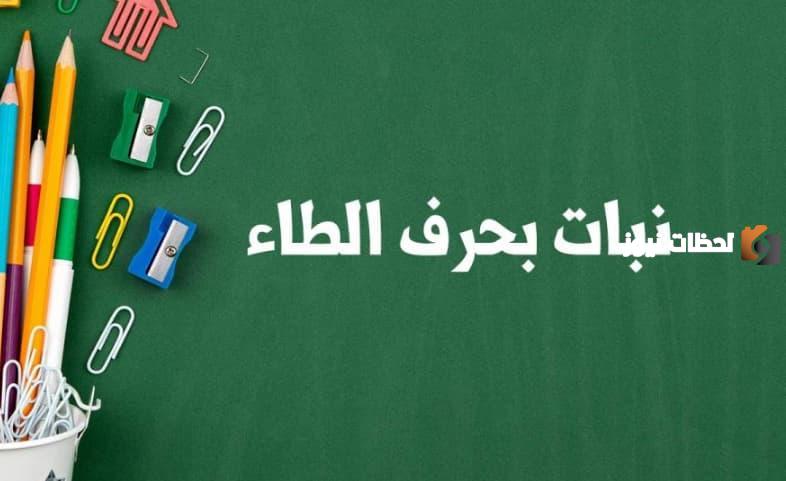 اسماء نبات بحرف الطاء ط