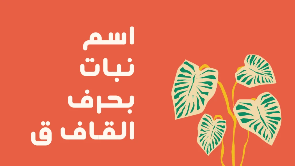اسماء نبات بحرف القاف ق