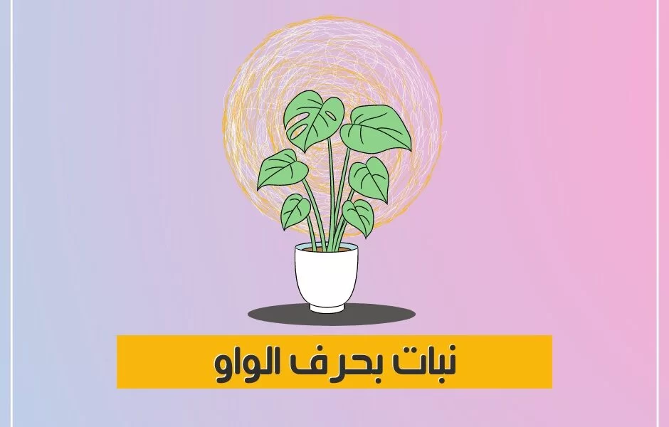 اسماء نبات بحرف الواو