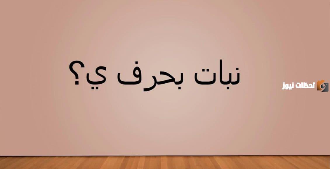 اسماء نبات بحرف الياء