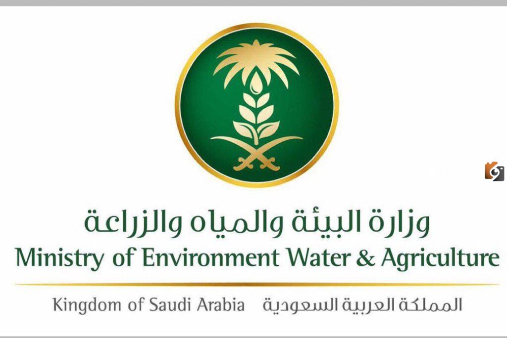 الأسباب المؤدية إلى إيقاف دعم الماشية