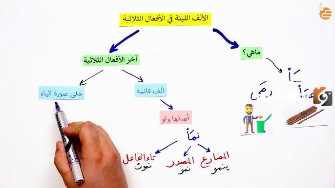 الالف اللينة في الاسماء والأفعال