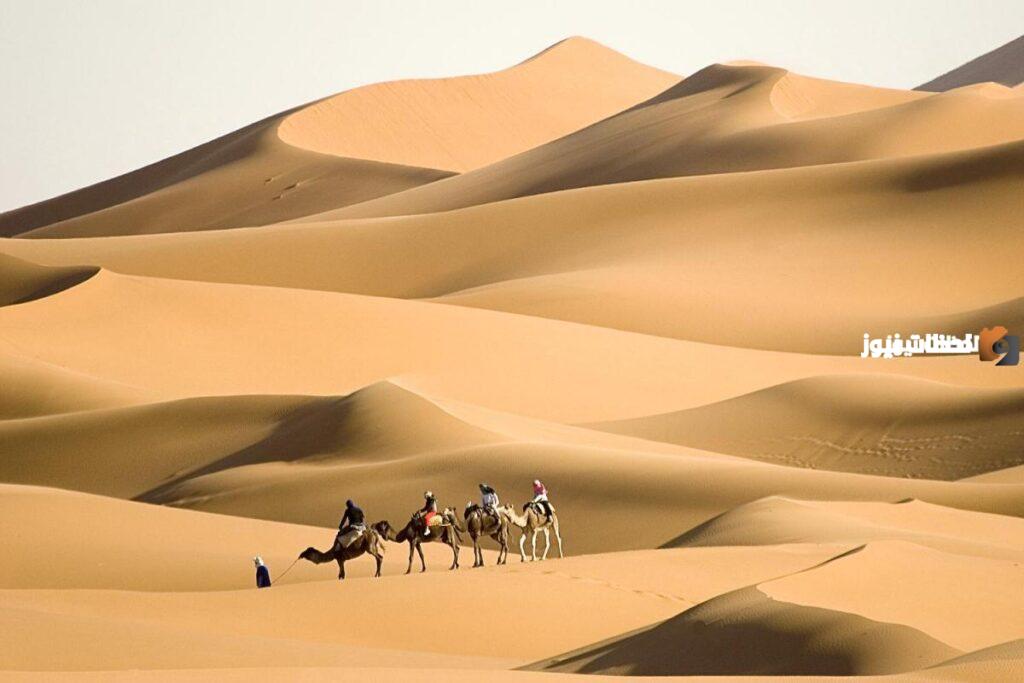 السواط وش يرجع ومن وين