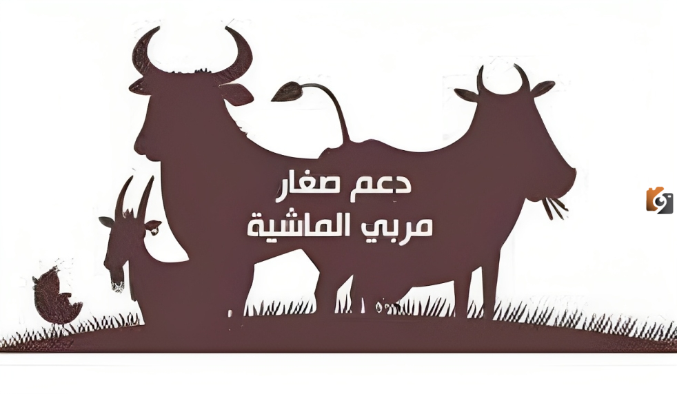 الشروط اللازمة للحصول على دعم مربي الماشية وخطوات التسجيل فيه