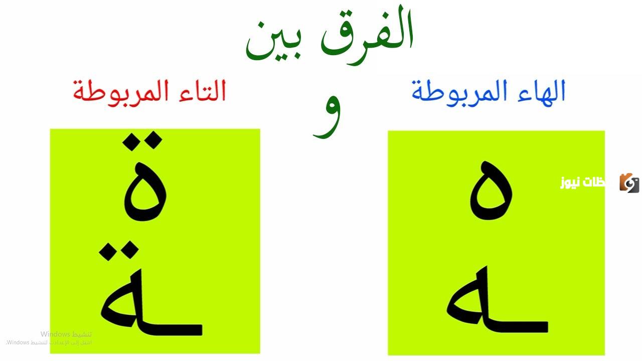 الفرق بين الهاء والتاء المربوطة