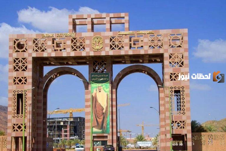 ما هي تخصصات المسار العلمي