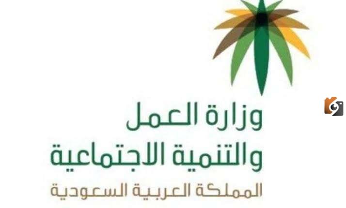 برقم الحدود الجوازات استعلم عن وافد الان بهذه الطريقة