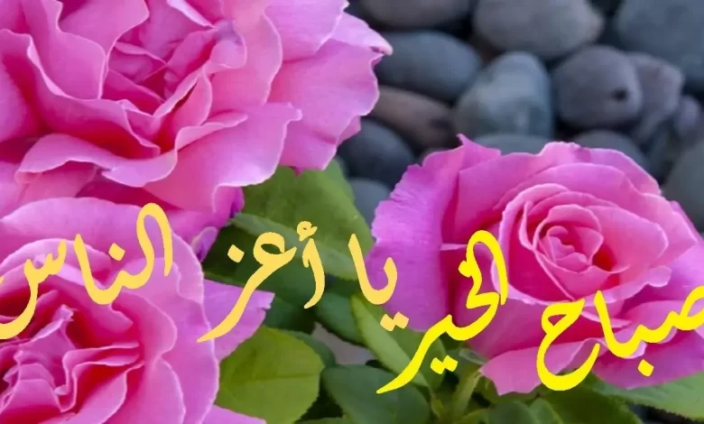 اجمل عبارات صباح الخير رومانسية