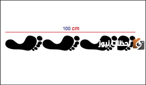تحويل المتر إلى قدم بالخطوات والامثلة المحلولة