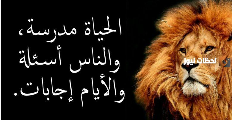 حكم واقوال عن الحياة والناس