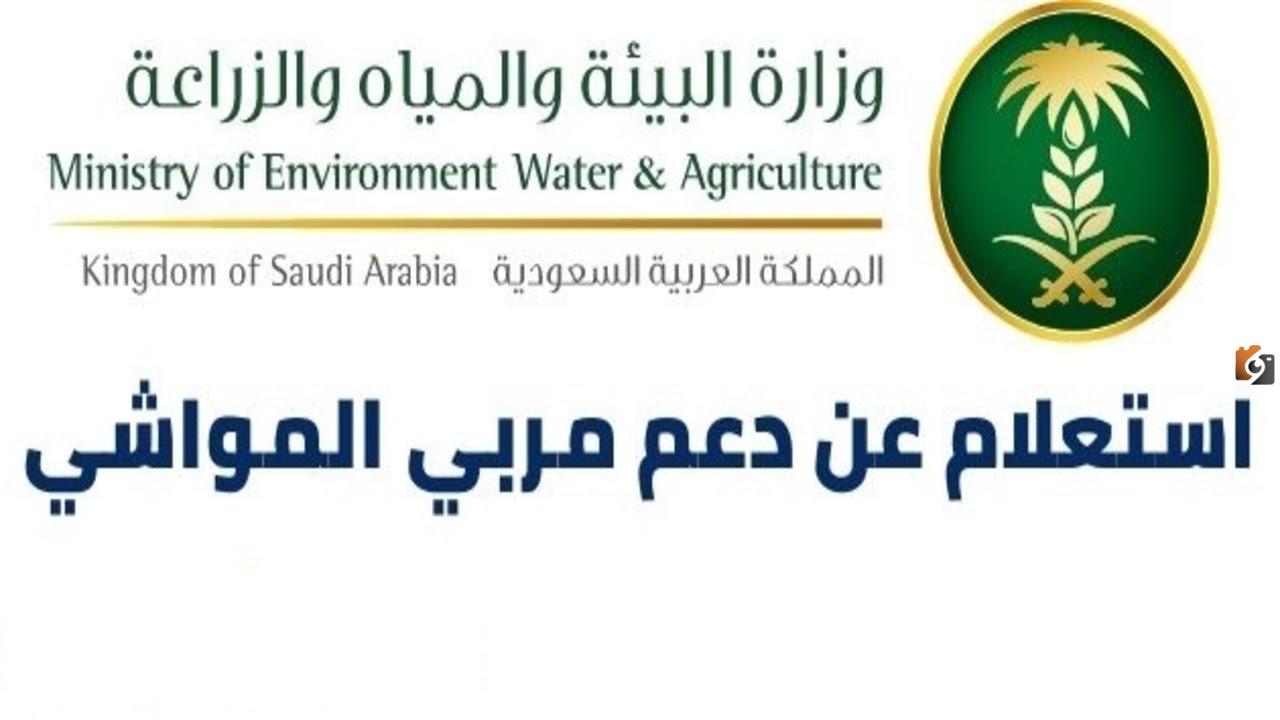 خطوات الاستعلام عن دعم المواشي وشروط التسجيل به 2023